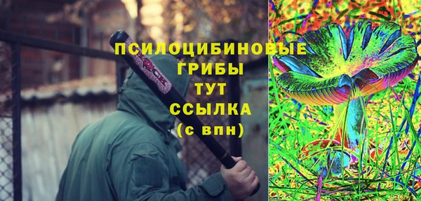 мдпв Балабаново