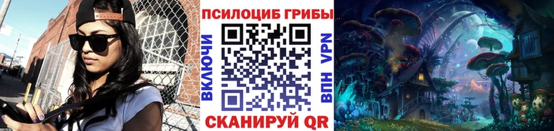 Псилоцибиновые грибы прущие грибы  Тотьма 